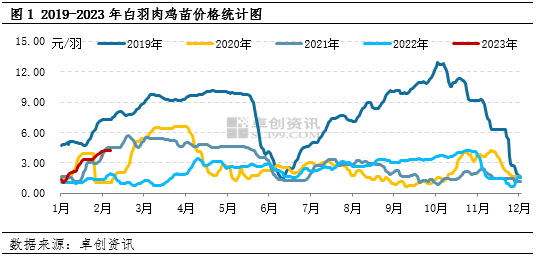 卓创资讯:白羽肉鸡苗1月价格升至近年同期较高位 2月仍有上涨空间