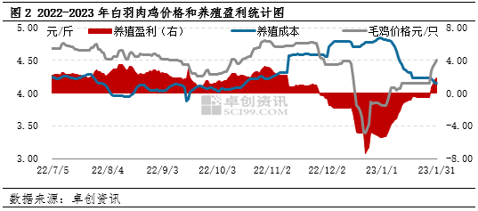 卓创资讯:白羽肉鸡苗1月价格升至近年同期较高位 2月仍有上涨空间
